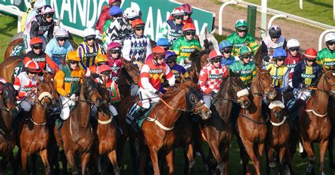 live updates grand national|Grand National 2023: Corach Rambler wins after protesters force .